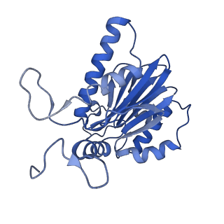 10463_6td5_E_v1-2
Leishmania tarentolae proteasome 20S subunit complexed with LXE408 and bortezomib