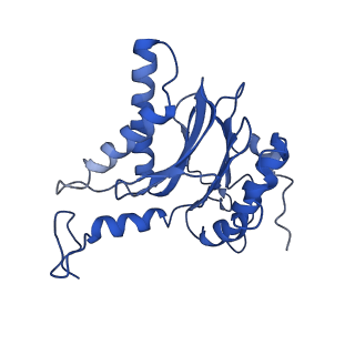 10463_6td5_F_v1-2
Leishmania tarentolae proteasome 20S subunit complexed with LXE408 and bortezomib