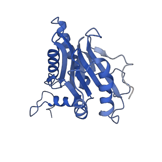 10463_6td5_G_v1-2
Leishmania tarentolae proteasome 20S subunit complexed with LXE408 and bortezomib