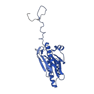 10463_6td5_H_v1-2
Leishmania tarentolae proteasome 20S subunit complexed with LXE408 and bortezomib