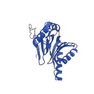 10463_6td5_I_v1-2
Leishmania tarentolae proteasome 20S subunit complexed with LXE408 and bortezomib