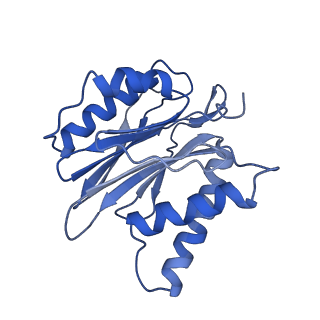 10463_6td5_J_v1-2
Leishmania tarentolae proteasome 20S subunit complexed with LXE408 and bortezomib
