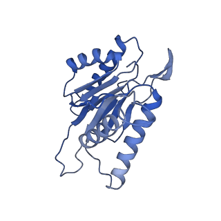 10463_6td5_K_v1-2
Leishmania tarentolae proteasome 20S subunit complexed with LXE408 and bortezomib