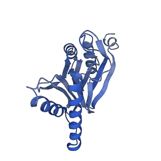 10463_6td5_L_v1-2
Leishmania tarentolae proteasome 20S subunit complexed with LXE408 and bortezomib