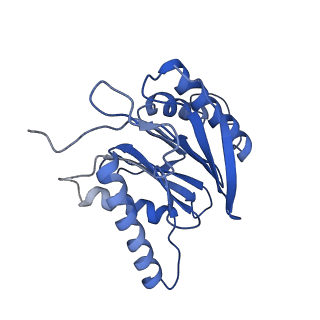 10463_6td5_M_v1-2
Leishmania tarentolae proteasome 20S subunit complexed with LXE408 and bortezomib