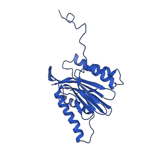 10463_6td5_N_v1-2
Leishmania tarentolae proteasome 20S subunit complexed with LXE408 and bortezomib