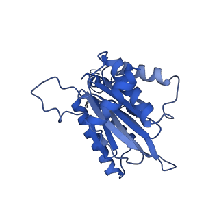 10463_6td5_a_v1-2
Leishmania tarentolae proteasome 20S subunit complexed with LXE408 and bortezomib