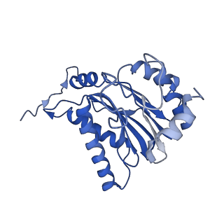 10463_6td5_b_v1-2
Leishmania tarentolae proteasome 20S subunit complexed with LXE408 and bortezomib