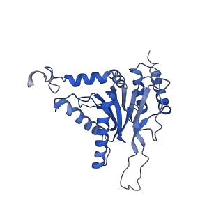 10463_6td5_c_v1-2
Leishmania tarentolae proteasome 20S subunit complexed with LXE408 and bortezomib