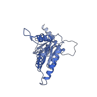 10463_6td5_d_v1-2
Leishmania tarentolae proteasome 20S subunit complexed with LXE408 and bortezomib