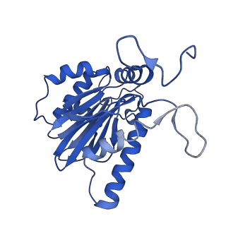 10463_6td5_e_v1-2
Leishmania tarentolae proteasome 20S subunit complexed with LXE408 and bortezomib