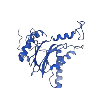 10463_6td5_f_v1-2
Leishmania tarentolae proteasome 20S subunit complexed with LXE408 and bortezomib