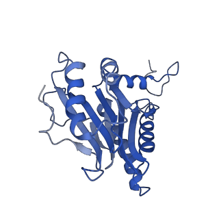10463_6td5_g_v1-2
Leishmania tarentolae proteasome 20S subunit complexed with LXE408 and bortezomib