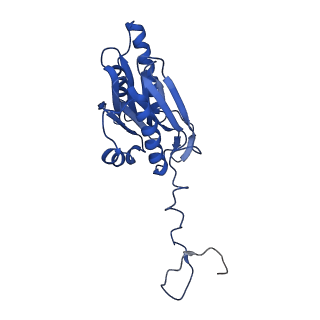 10463_6td5_h_v1-2
Leishmania tarentolae proteasome 20S subunit complexed with LXE408 and bortezomib