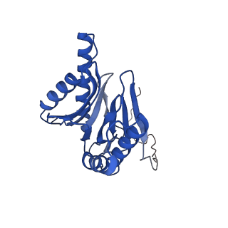 10463_6td5_i_v1-2
Leishmania tarentolae proteasome 20S subunit complexed with LXE408 and bortezomib