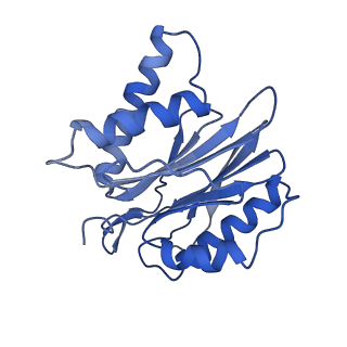 10463_6td5_j_v1-2
Leishmania tarentolae proteasome 20S subunit complexed with LXE408 and bortezomib