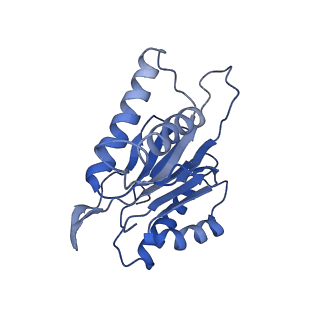 10463_6td5_k_v1-2
Leishmania tarentolae proteasome 20S subunit complexed with LXE408 and bortezomib