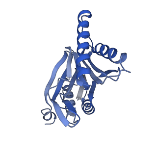 10463_6td5_l_v1-2
Leishmania tarentolae proteasome 20S subunit complexed with LXE408 and bortezomib