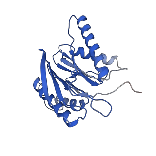 10463_6td5_m_v1-2
Leishmania tarentolae proteasome 20S subunit complexed with LXE408 and bortezomib