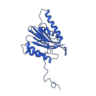 10463_6td5_n_v1-2
Leishmania tarentolae proteasome 20S subunit complexed with LXE408 and bortezomib