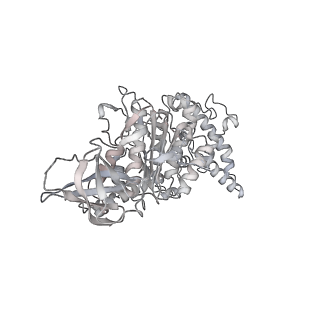 10467_6tdu_AA_v1-0
Cryo-EM structure of Euglena gracilis mitochondrial ATP synthase, full dimer, rotational states 1