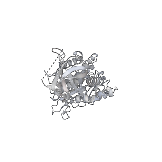 10467_6tdu_AB_v1-0
Cryo-EM structure of Euglena gracilis mitochondrial ATP synthase, full dimer, rotational states 1