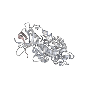 10467_6tdu_AC_v1-0
Cryo-EM structure of Euglena gracilis mitochondrial ATP synthase, full dimer, rotational states 1