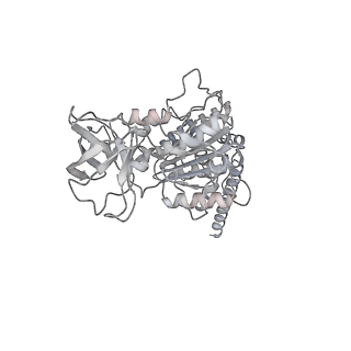 10467_6tdu_AD_v1-0
Cryo-EM structure of Euglena gracilis mitochondrial ATP synthase, full dimer, rotational states 1