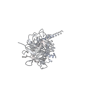 10467_6tdu_AE_v1-0
Cryo-EM structure of Euglena gracilis mitochondrial ATP synthase, full dimer, rotational states 1