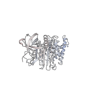 10467_6tdu_AF_v1-0
Cryo-EM structure of Euglena gracilis mitochondrial ATP synthase, full dimer, rotational states 1