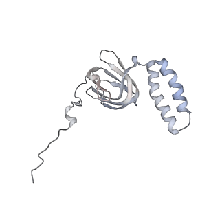 10467_6tdu_AH_v1-0
Cryo-EM structure of Euglena gracilis mitochondrial ATP synthase, full dimer, rotational states 1