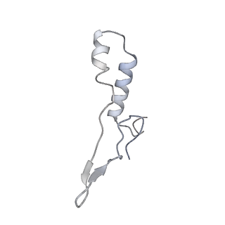 10467_6tdu_AI_v1-0
Cryo-EM structure of Euglena gracilis mitochondrial ATP synthase, full dimer, rotational states 1