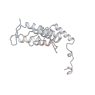 10467_6tdu_AJ_v1-0
Cryo-EM structure of Euglena gracilis mitochondrial ATP synthase, full dimer, rotational states 1
