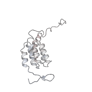 10467_6tdu_AK_v1-0
Cryo-EM structure of Euglena gracilis mitochondrial ATP synthase, full dimer, rotational states 1
