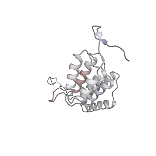 10467_6tdu_AL_v1-0
Cryo-EM structure of Euglena gracilis mitochondrial ATP synthase, full dimer, rotational states 1