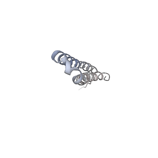 10467_6tdu_AO_v1-0
Cryo-EM structure of Euglena gracilis mitochondrial ATP synthase, full dimer, rotational states 1