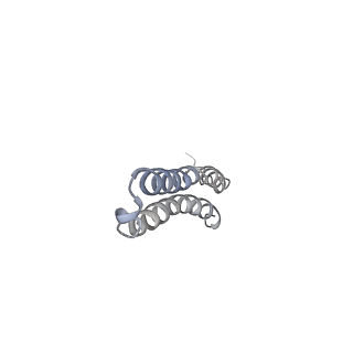 10467_6tdu_AQ_v1-0
Cryo-EM structure of Euglena gracilis mitochondrial ATP synthase, full dimer, rotational states 1