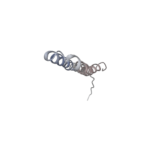 10467_6tdu_AX_v1-0
Cryo-EM structure of Euglena gracilis mitochondrial ATP synthase, full dimer, rotational states 1