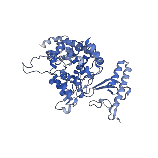 10467_6tdu_A_v1-0
Cryo-EM structure of Euglena gracilis mitochondrial ATP synthase, full dimer, rotational states 1
