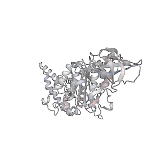 10467_6tdu_BA_v1-0
Cryo-EM structure of Euglena gracilis mitochondrial ATP synthase, full dimer, rotational states 1