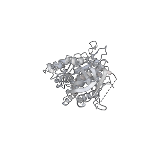 10467_6tdu_BB_v1-0
Cryo-EM structure of Euglena gracilis mitochondrial ATP synthase, full dimer, rotational states 1