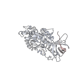 10467_6tdu_BC_v1-0
Cryo-EM structure of Euglena gracilis mitochondrial ATP synthase, full dimer, rotational states 1