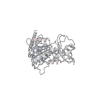 10467_6tdu_BD_v1-0
Cryo-EM structure of Euglena gracilis mitochondrial ATP synthase, full dimer, rotational states 1
