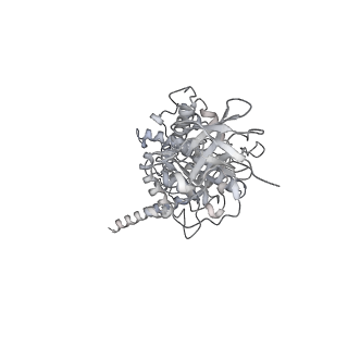 10467_6tdu_BE_v1-0
Cryo-EM structure of Euglena gracilis mitochondrial ATP synthase, full dimer, rotational states 1