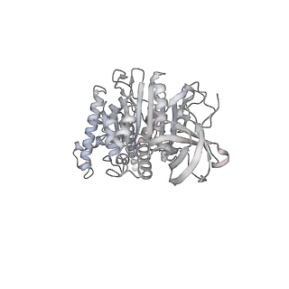 10467_6tdu_BF_v1-0
Cryo-EM structure of Euglena gracilis mitochondrial ATP synthase, full dimer, rotational states 1