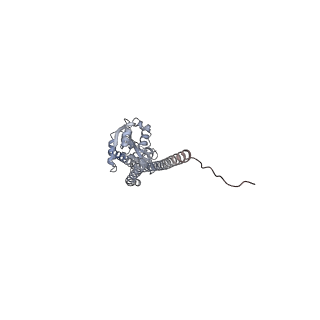 10467_6tdu_BG_v1-0
Cryo-EM structure of Euglena gracilis mitochondrial ATP synthase, full dimer, rotational states 1