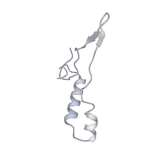 10467_6tdu_BI_v1-0
Cryo-EM structure of Euglena gracilis mitochondrial ATP synthase, full dimer, rotational states 1