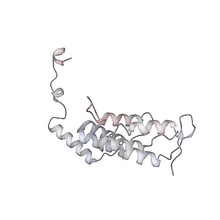 10467_6tdu_BJ_v1-0
Cryo-EM structure of Euglena gracilis mitochondrial ATP synthase, full dimer, rotational states 1