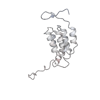 10467_6tdu_BK_v1-0
Cryo-EM structure of Euglena gracilis mitochondrial ATP synthase, full dimer, rotational states 1
