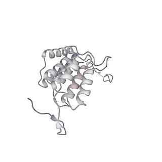 10467_6tdu_BL_v1-0
Cryo-EM structure of Euglena gracilis mitochondrial ATP synthase, full dimer, rotational states 1